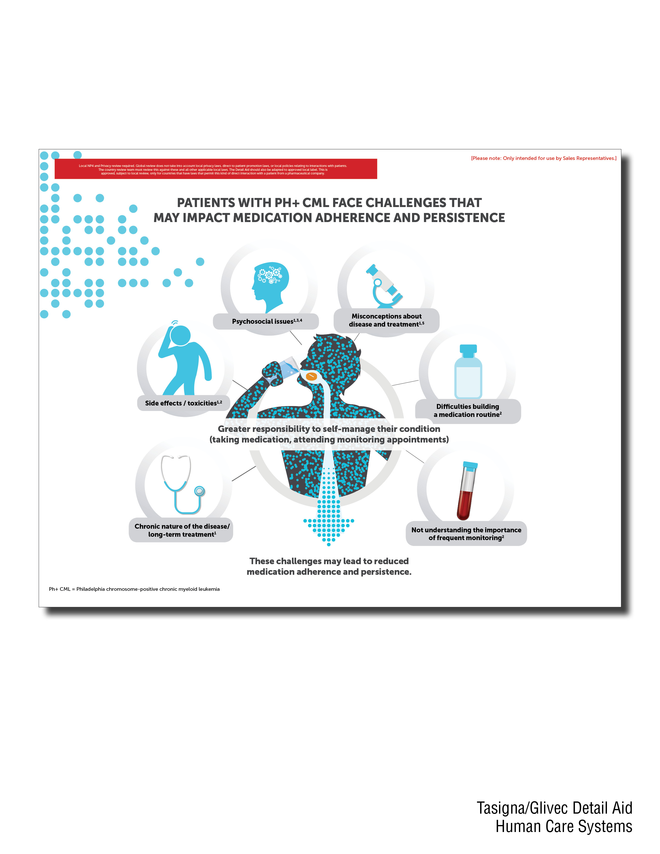 Portfolio infographic 2