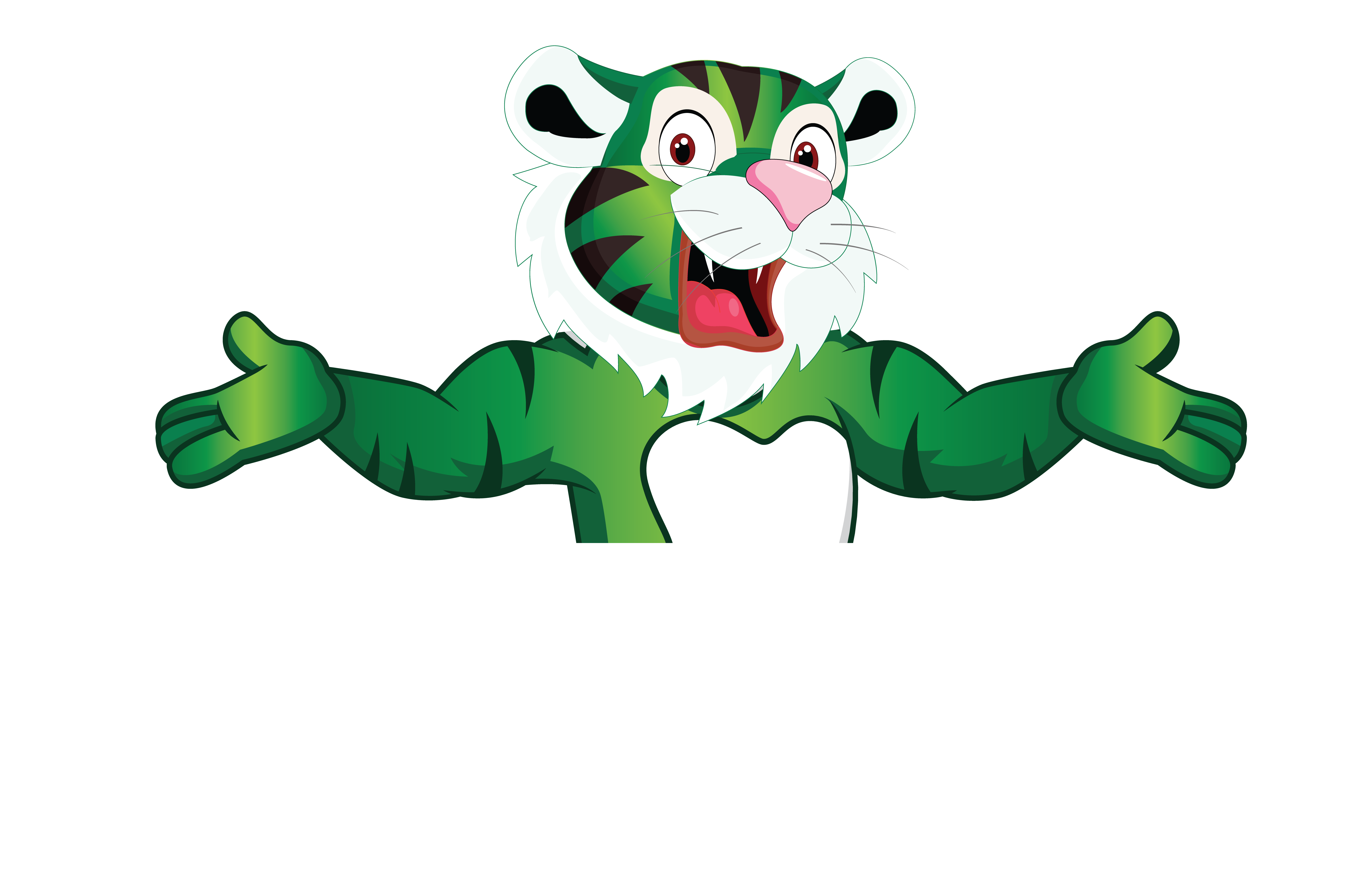 Schalmont Central PTO